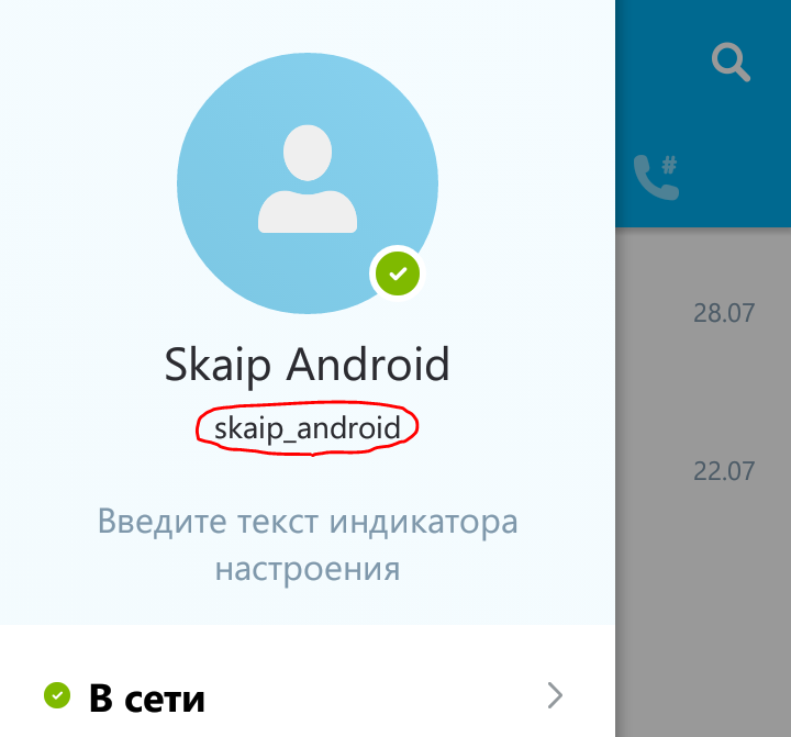 Как узнать свой логин в Skype для Android